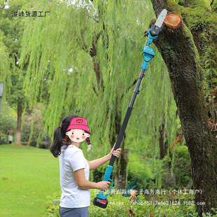 德国锂电高枝锯电动高枝剪伸缩杆充电式修剪树枝园林高空锯