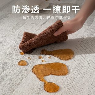 免洗卧室床防水下轻奢加厚可擦客厅 灰色地毯高级防滑感2024新款