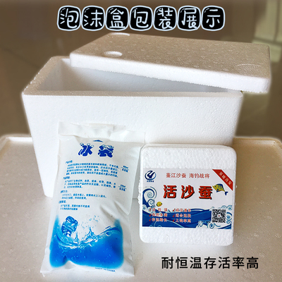 极速活沙蚕海蚯蚓青红虫海蜈蚣海蚂蟥海钓活饵鲤鱼V食鲈鱼饵腥路