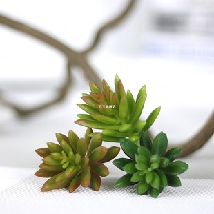极速Artifical Plastic Succulent Plant Cactus EchTeveria Flow