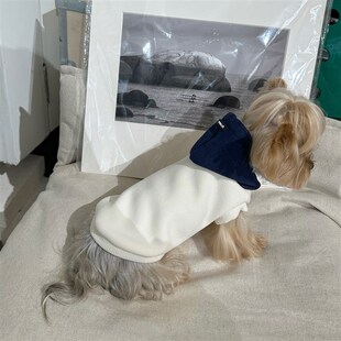 极速小甜粥宠物服加绒撞色连帽衫秋冬简约衣服约克夏马Y尔济斯猫