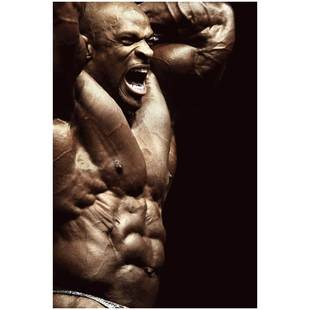 极速罗尼库尔曼海报 健美先生施瓦辛格健身房墙贴宿舍Z壁纸挂画装