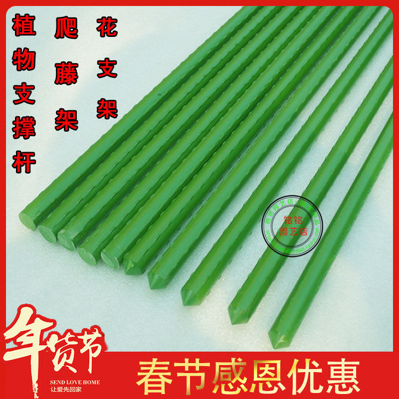 新品养花用支架杆扦插杆植物通固C定蓝雪花支架种花支撑杆细藤类图片