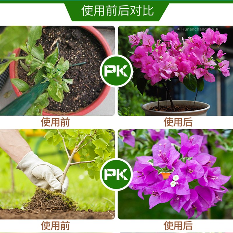 极速三角梅肥开花缓释o肥营养液盆栽花肥磷酸二氢钾促花复合肥骨