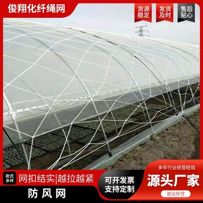 大棚网防风网货物种植盖垛防护大孔压膜网尼龙网绳网大棚网子挡风