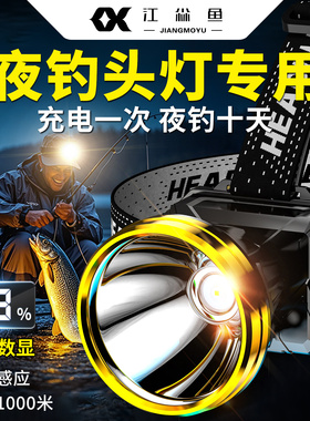 夜钓头灯头戴式感应强光充电超亮超长续航100小时钓鱼专用照明灯