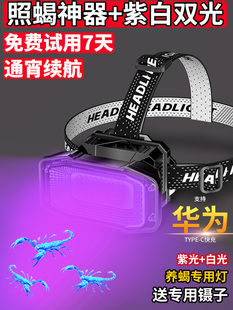 强光照蝎子灯2025新款紫光灯超亮充电超长续航大功率照蝎子专用灯