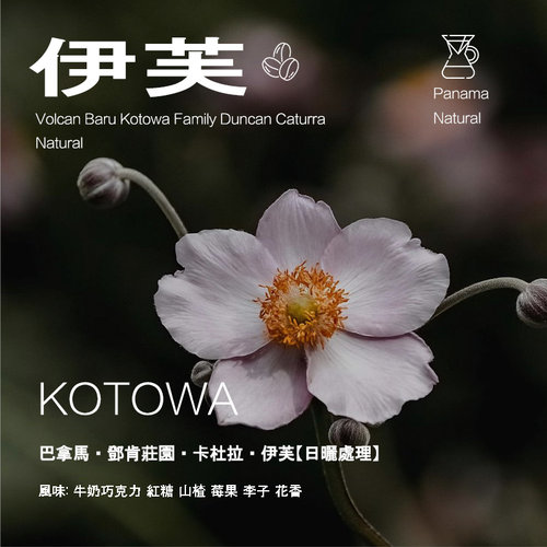 伊芙咖啡豆巴拿马邓肯庄园卡杜拉