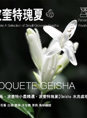 巴拿马波奎特小农精选波奎特Boquete瑰夏咖啡豆水洗处理手冲单品