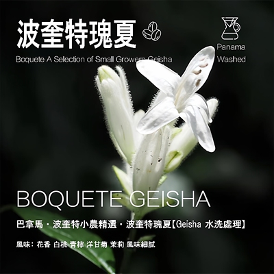 巴拿马波奎特小农精选咖啡豆