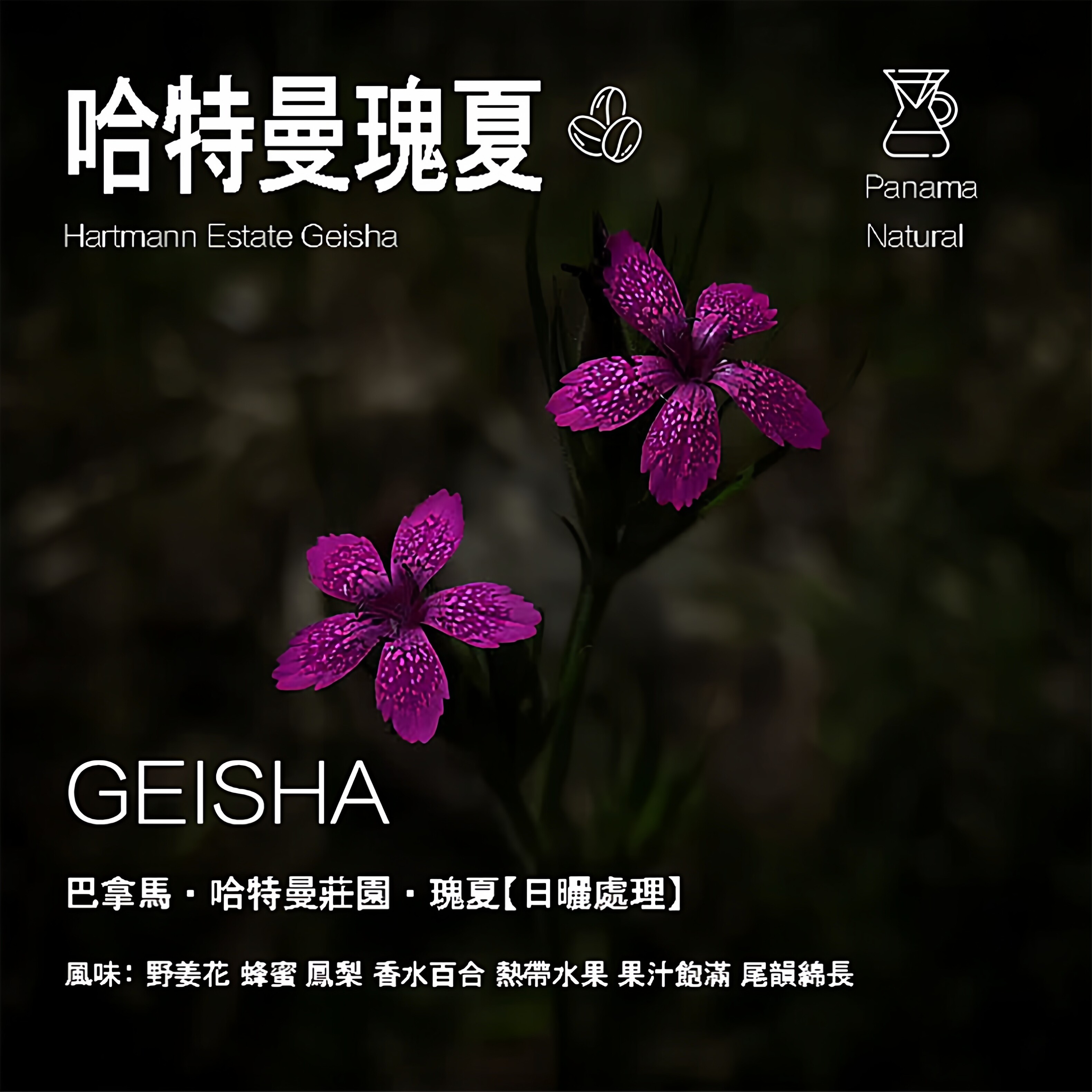 巴拿马哈特曼庄园瑰夏手冲咖啡豆