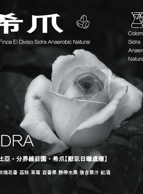 哥伦比亚分界线庄园希爪Sidra咖啡豆厌氧日晒WBC冠军同款手冲单品