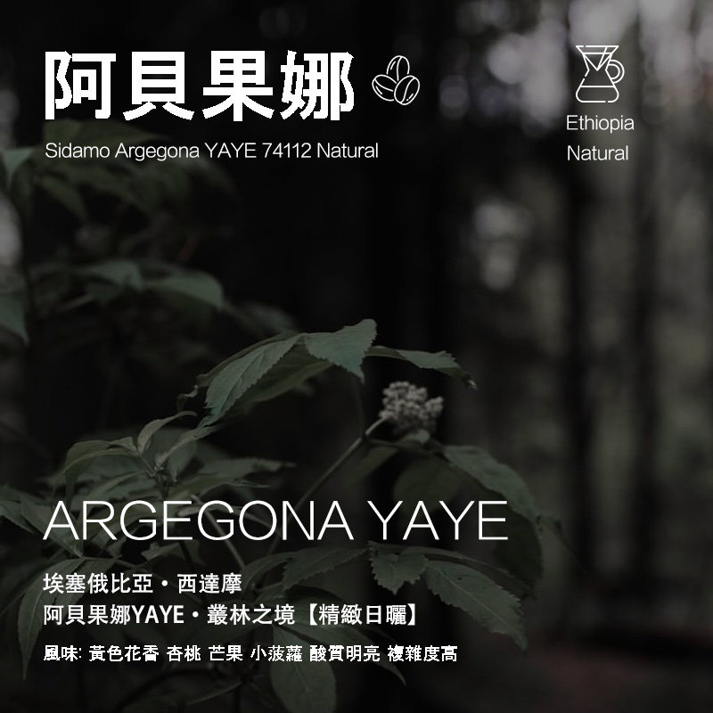 阿贝果娜丛林之境咖啡豆精致日晒