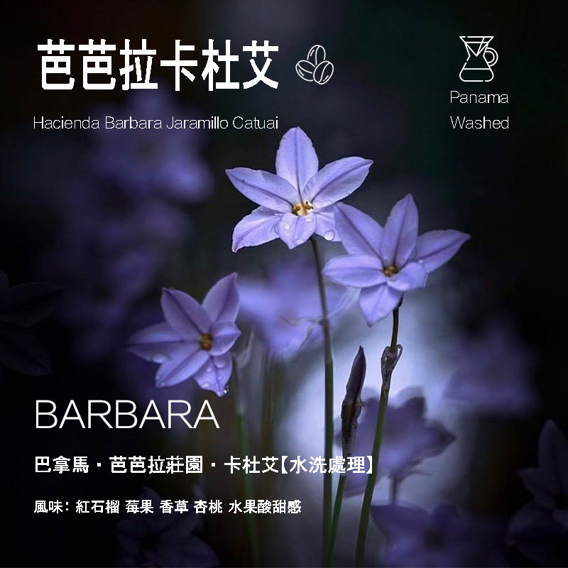 巴拿马芭芭拉庄园水洗手冲咖啡豆