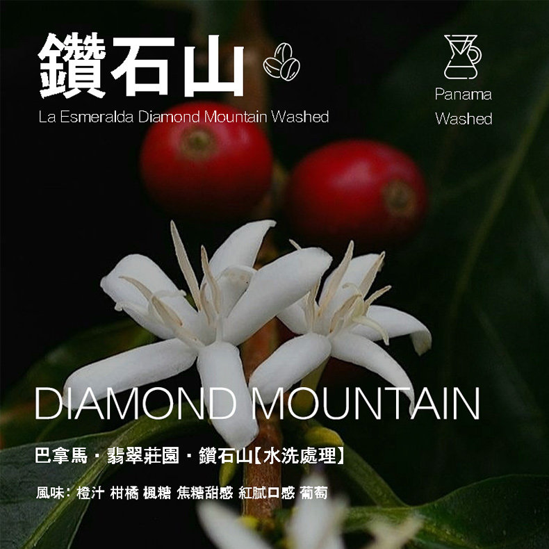 巴拿马翡翠庄园水洗豆新鲜烘焙