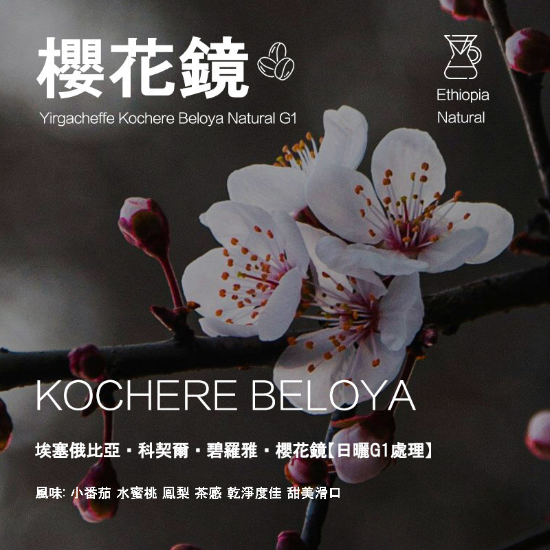 埃塞俄比亚 科契尔 碧罗雅 樱花镜咖啡豆日晒处理G1 手冲单品咖啡