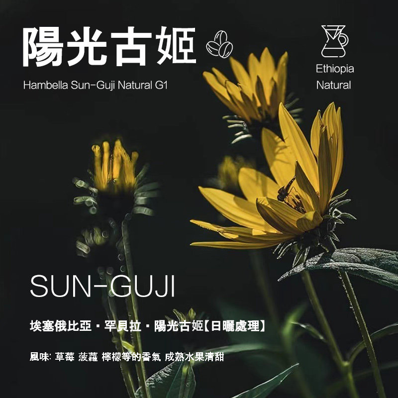 阳光古姬咖啡豆埃塞俄比亚罕贝拉