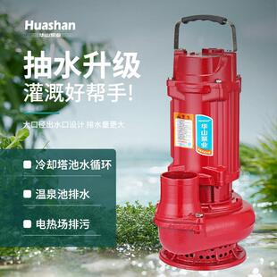 QDX单相小型家用220V清水泵农用灌溉喷泉离心抽水机高扬程潜水泵
