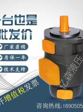 YLC永灵VQ系列字母式叶片泵2520/3520/3525/4520/4525VQ厂家直销