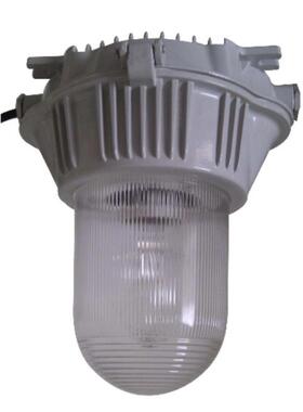 ZY8600防眩泛光灯150W 70W 100W