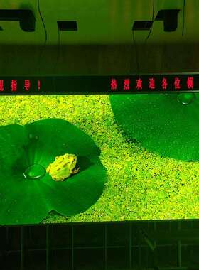 P3室内led电子屏模组indoor P3 display screen module LED单元板