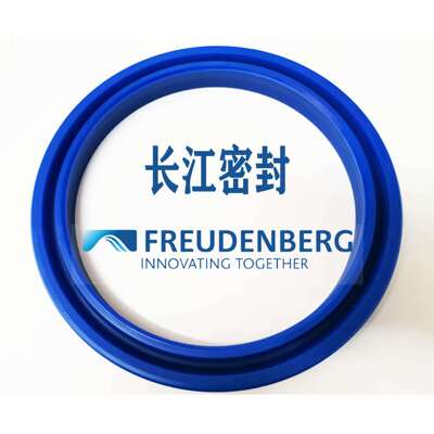 CFW B1 N9121 125-105-15 110-95-12德国进口密封件 na300活塞Y型