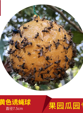 瓜果实蝇针峰粘胶板绿色黄色诱蝇球果园I瓜园专用粘虫板诱虫板黄