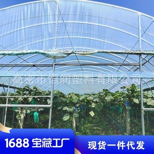 PE农用塑料薄膜 大棚膜葡萄避雨膜 连拱小棚膜葡萄用棚膜