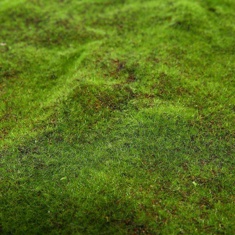 植毛石皮仿真草皮草坪植物苔藓仿真植物墙景草坪外贸单