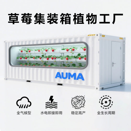 无土栽培种植物设备智慧农业草莓集装箱植物工厂智能水培立体温室