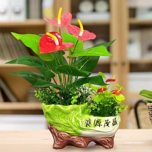 辛吉仿真绿植物盆栽塑料花假花摆设家居客厅电视柜茶几装饰品摆件