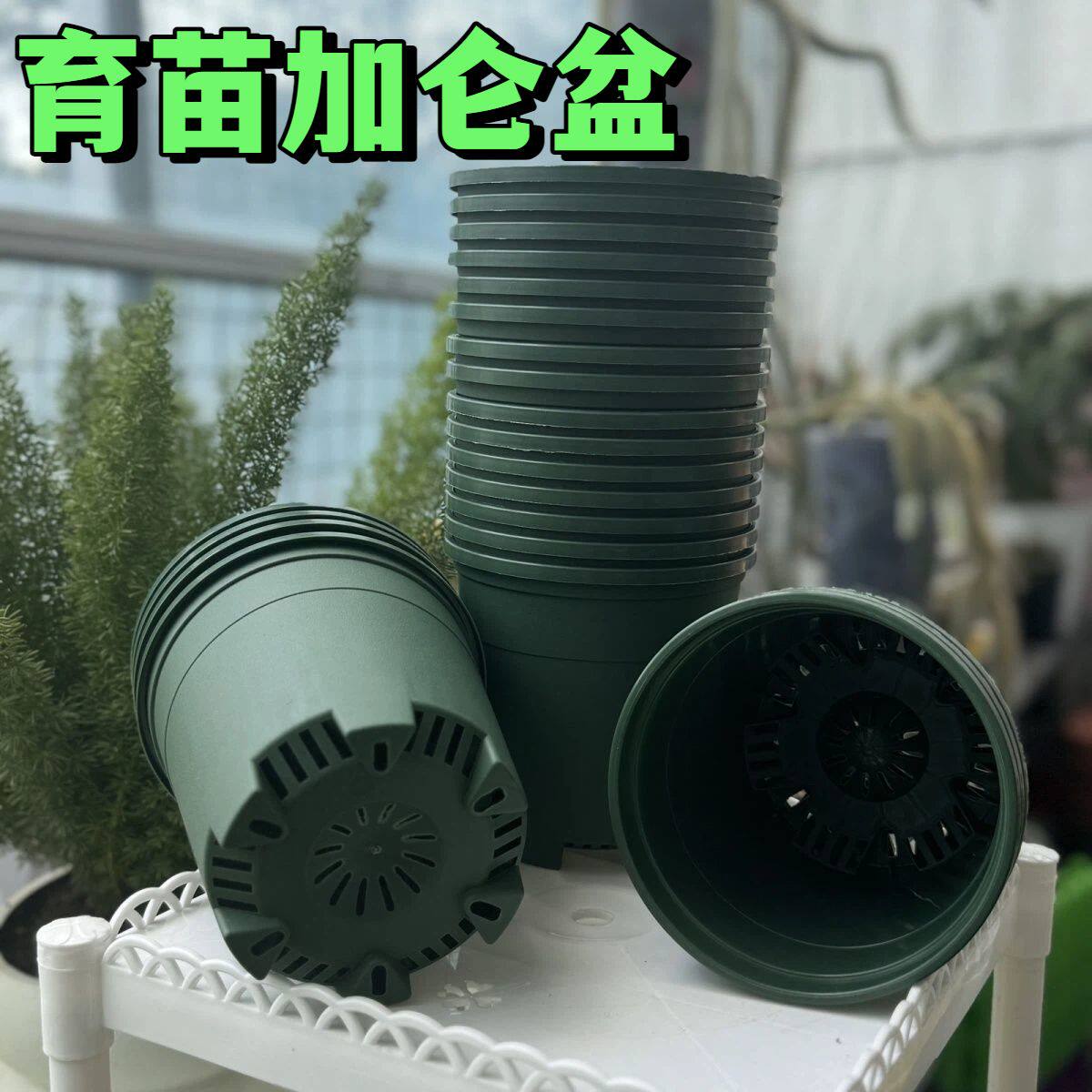 二代透气控根薄小1加仑盆基育苗盆简易塑料圆形透气育苗盆简易盆