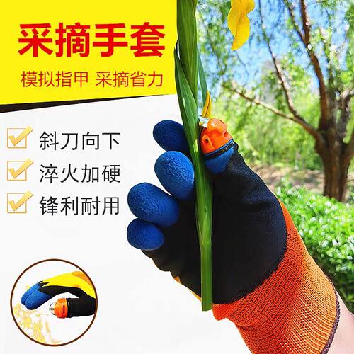 拇指刀摘花椒择菜掐豆角神器 厨房采摘茶叶掐尖剥蒜加厚防刺手套