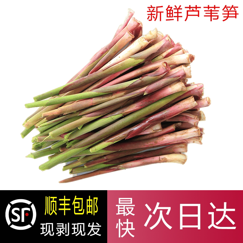 湖北特产财笋柴笋子野生芦苇笋纯天然时令蔬菜狄笋现剥现发顺丰