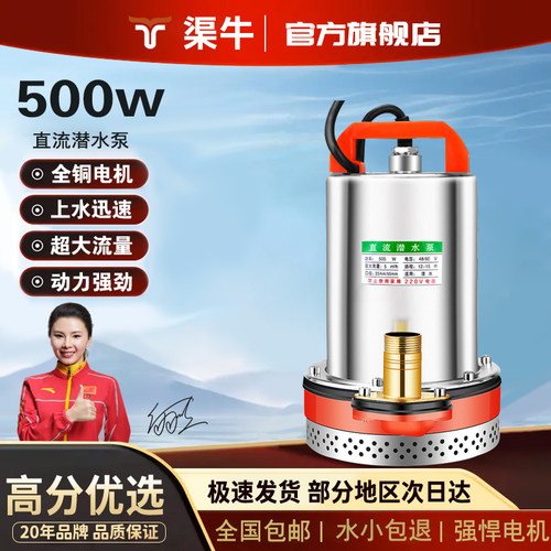 电动车潜水泵【好评率100%】