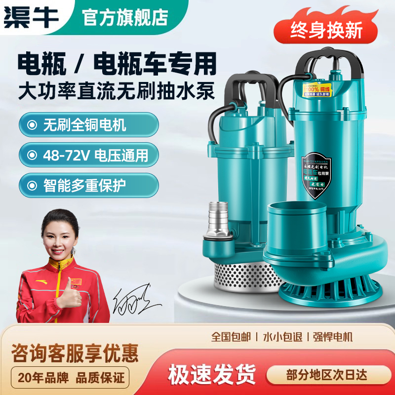 无刷直流潜水泵48V72V电动电瓶车专用农用灌溉抽水泵高扬程大流量