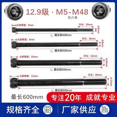 12.9级DIN912高强度加长内六角螺丝杆M10m24x200*300圆柱杯头螺栓