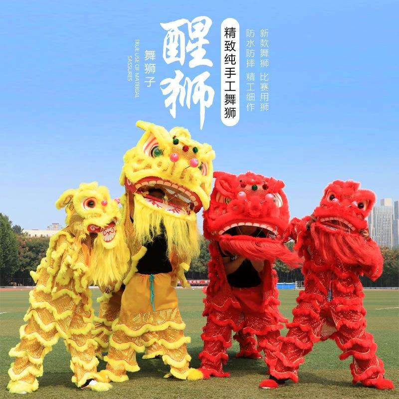 舞龙舞狮道具整套南狮醒狮用品狮标准号舞狮人单双人小南狮舞狮人