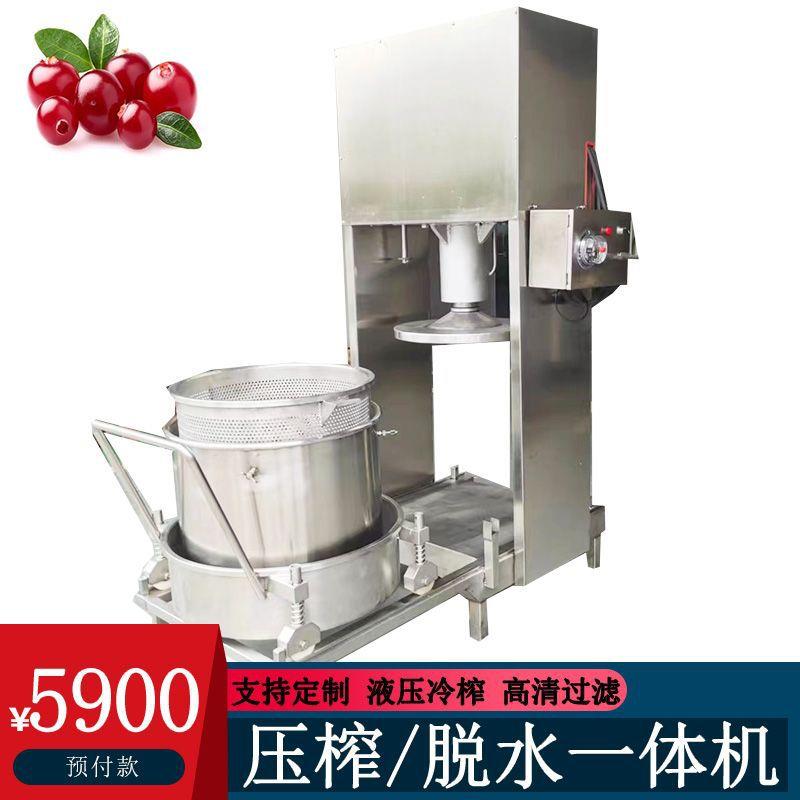 黑莓挤压榨汁压榨机立式提框100L压榨机果汁柠檬榨汁过滤设备