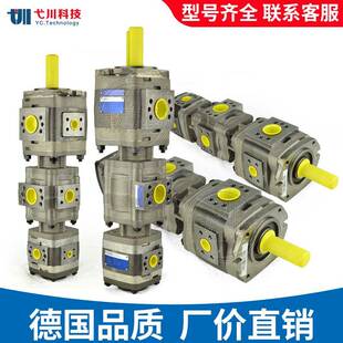 福伊特齿轮泵双联内啮合液压泵IPVP/IPV4/5/6/764/80125voith油泵