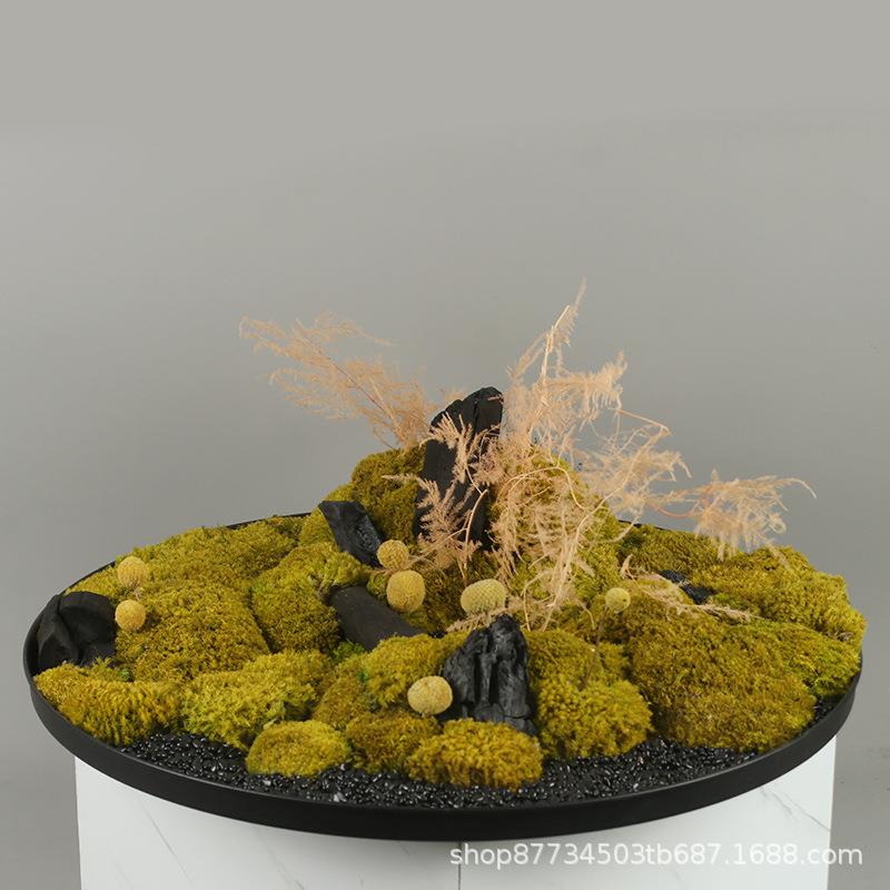 新中式现代永生苔藓植物盆景微景观样板间售楼处办公室内绿植摆件