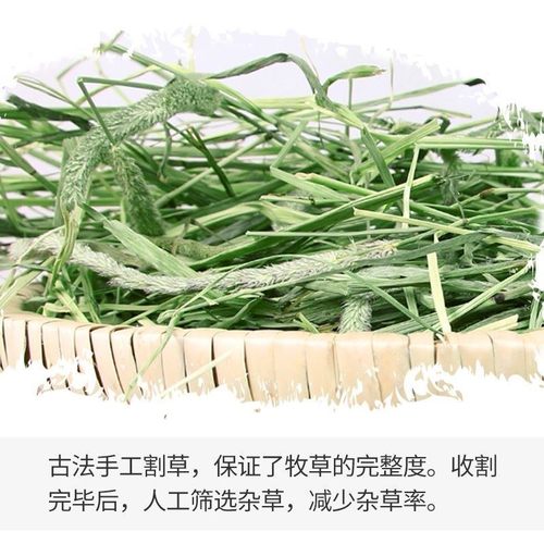 极速2021 timothy grass huay forage grass rabbit rabbit food