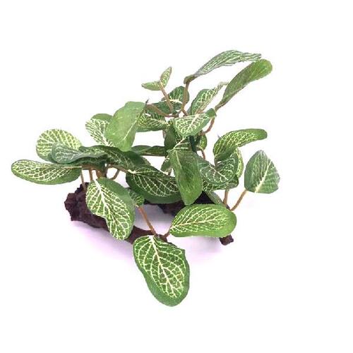 极速Artificial Plastic Waterx Plant Grass Aquarium Decoratio