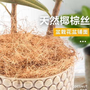 极速园艺椰丝铺面花n盆覆盖物填充物椰棕丝盆栽装饰植物种花棕榈