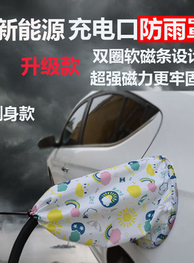 极速比亚迪e2秦e3汉EV宋PLUSB唐DMe5新能源车匪充电口枪桩防水防