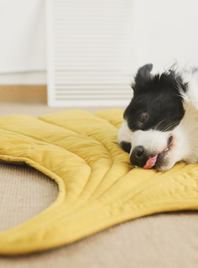 极速YUMMY小叶子多功能被垫子 宠物纯棉猫咪狗R窝毛毯地垫四季通