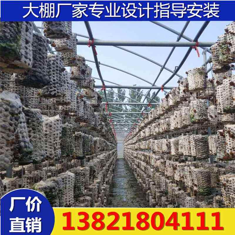 极速,吉林木耳吊袋大棚骨架 设计安装H食用菌大棚管 热浸镀锌木耳
