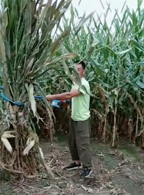 极速玉米器铡草机杆捆扎苞米打绳子D收I割秸N秆神器简易手动。。