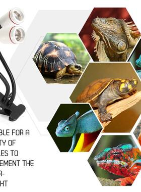 极速E27/E26 Reptile Lamp Set With Clip-on Bulb Lamp HYolder