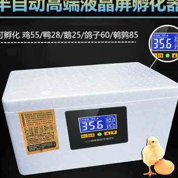 极速新化器小型家用孵化机全自动智能G鸡鸭K鹅鸽蛋保温床水箱孵蛋